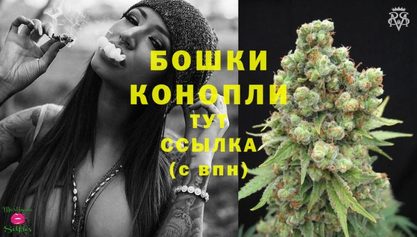тгк Бронницы