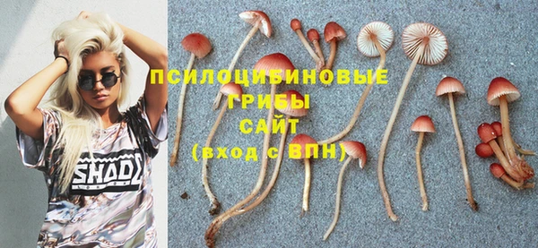 молекула духа Бугульма