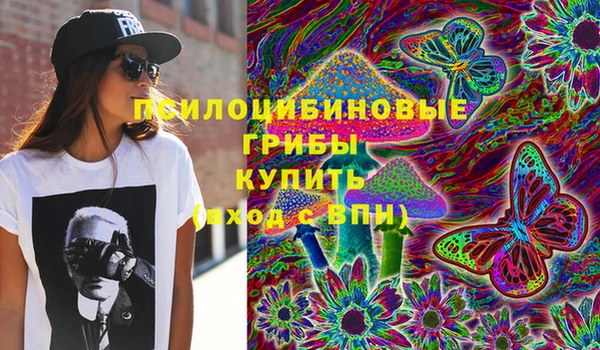 молекула духа Бугульма