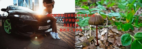 кокаин перу Бородино